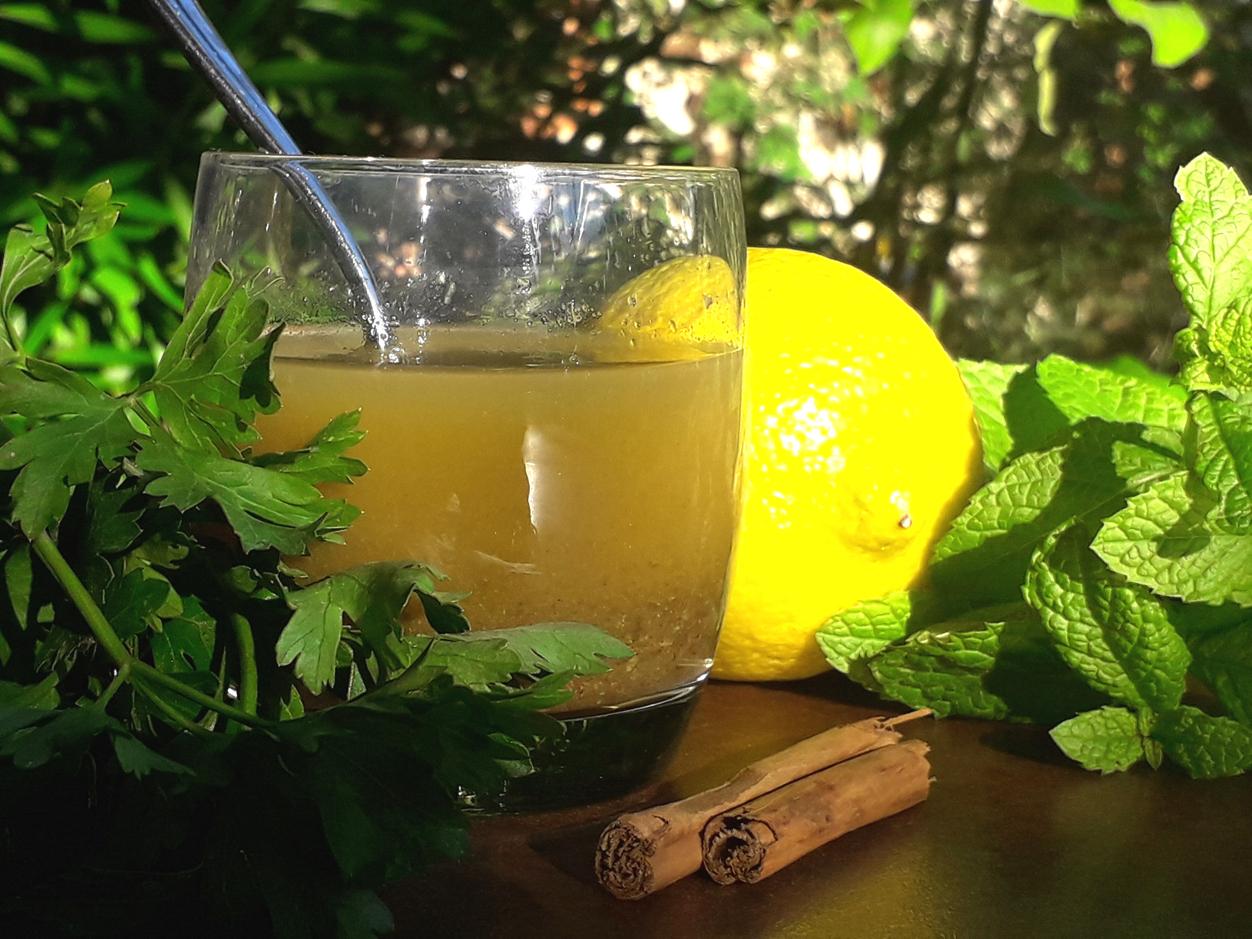 Gomasio manon deloche