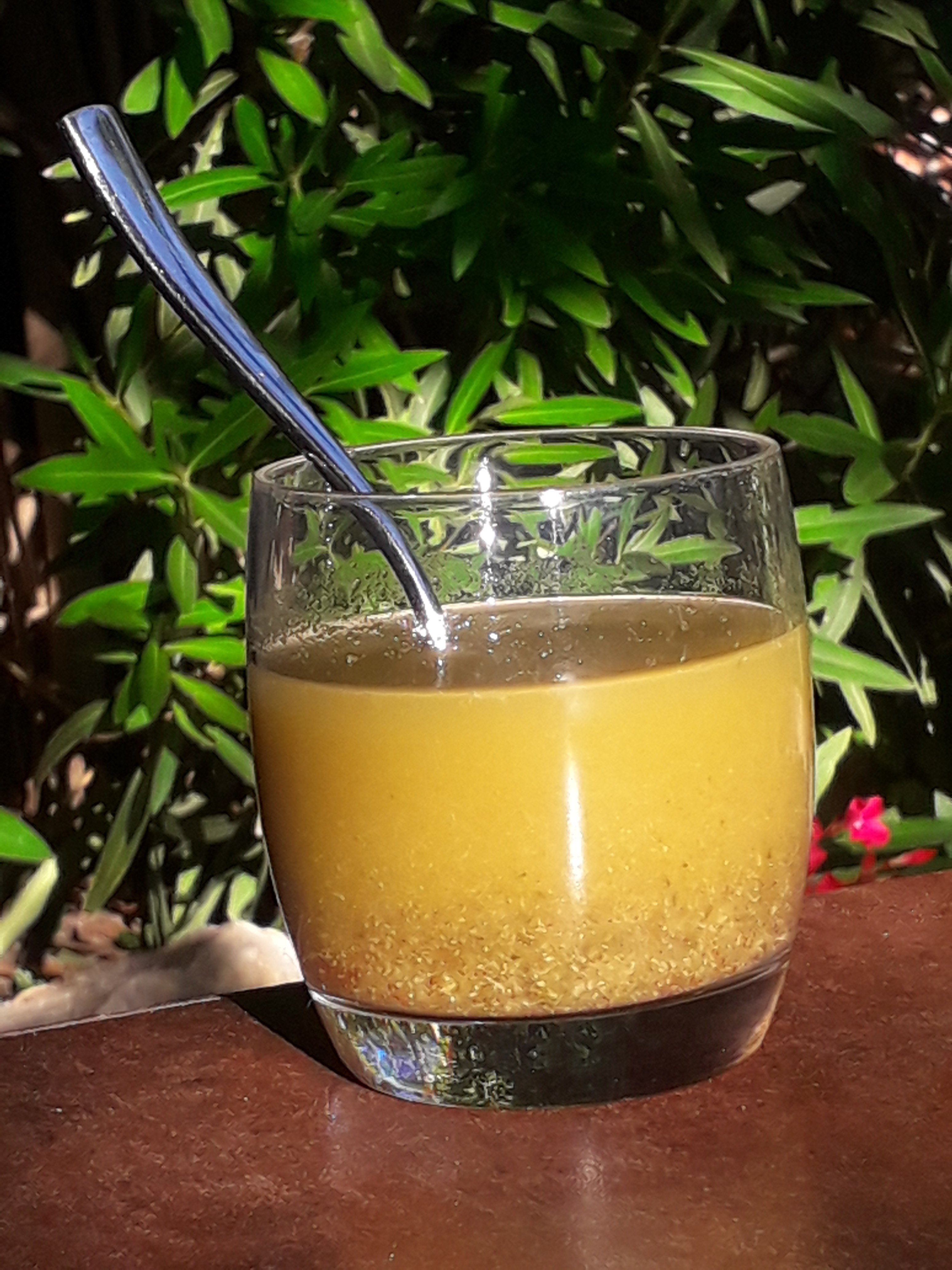 Gomasio manon deloche 3