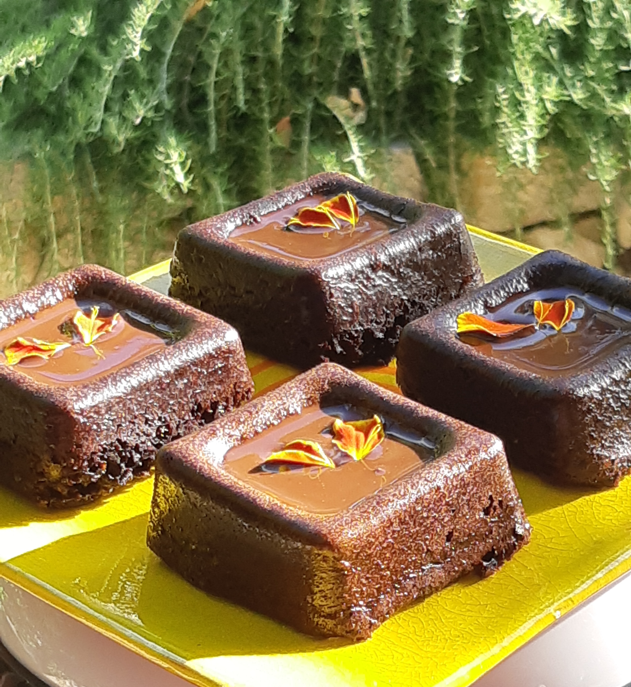 Transmettre manon deloche